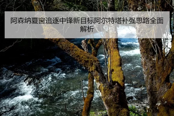 阿森纳夏窗追逐中锋新目标阿尔特塔补强思路全面解析