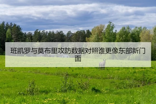 班凯罗与莫布里攻防数据对照谁更像东部新门面