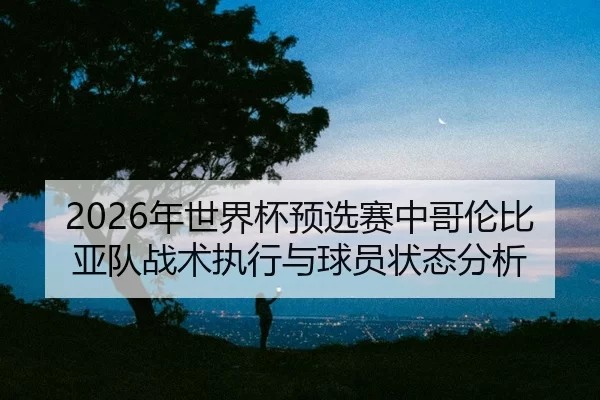 nian-shi-jie-bei-yu-xuan-sai-zhong-ge-lun-bi-ya-dui-zhan-shu-zhi-xing-yu-qiu-yuan-zhuang-tai-fen-xi-2-360.jpg